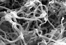 White paper looks at nanotechnology in space exploration Nanotubes Bundles