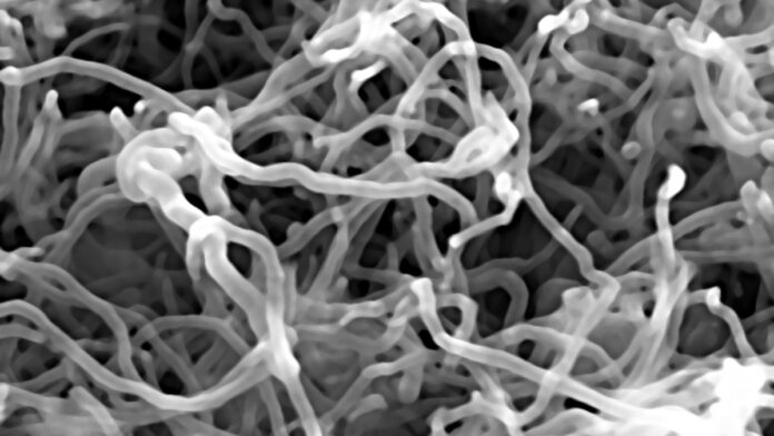 Nanotubes Bundles