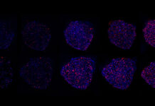 Biotech tests in space?