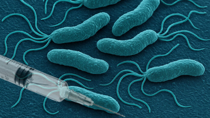 accurate close-up scientific illustration showing the bacteria Helicobacter pylori