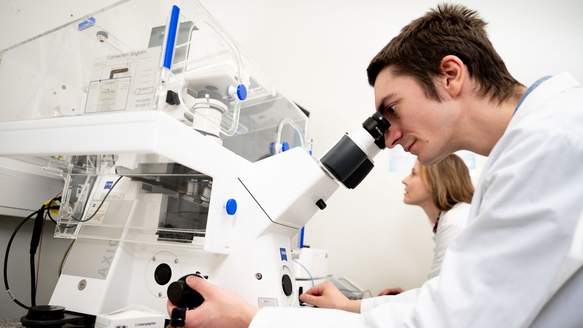 cresco-lorena-victor