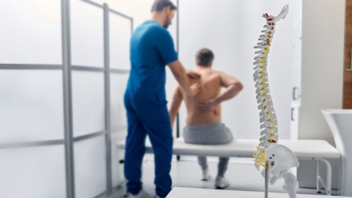 spine